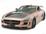 Hamann-Hawk_2011_thumbnail_01